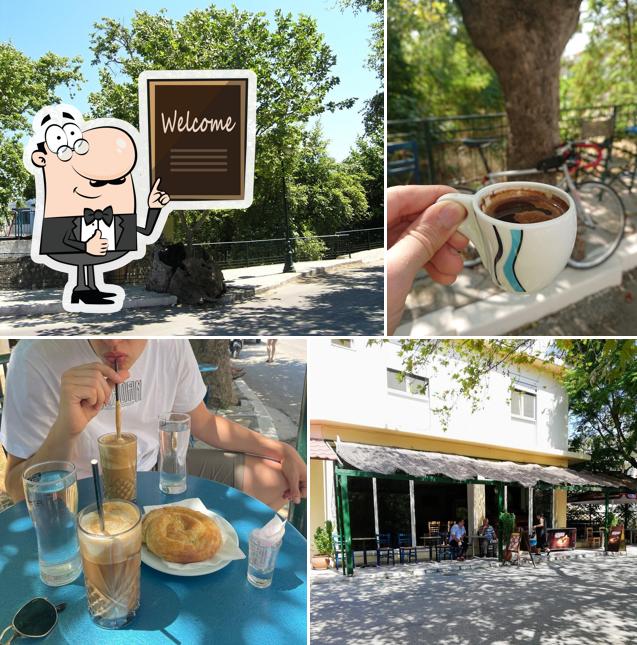 Cafe Manteio