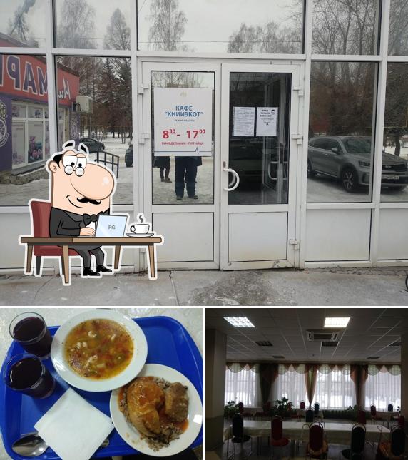 Книиэкот