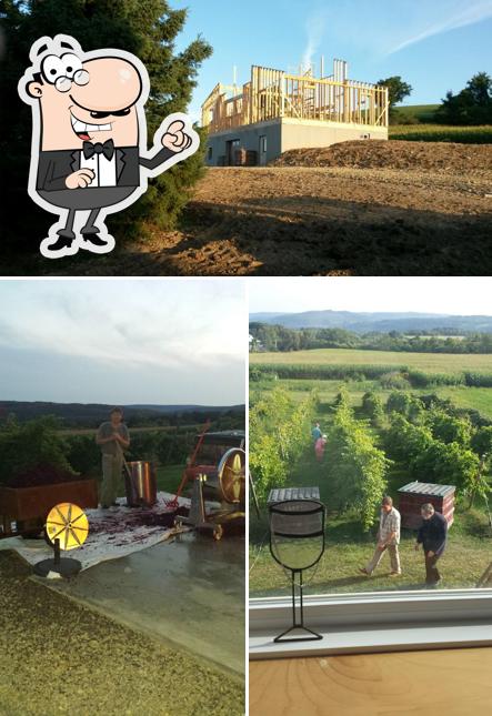 Savor Vineyards and Wines