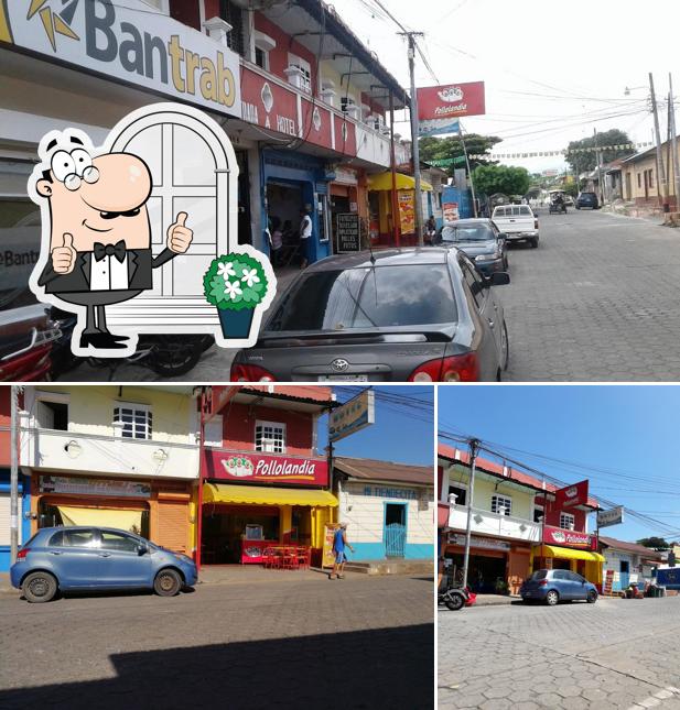 Pollolandia