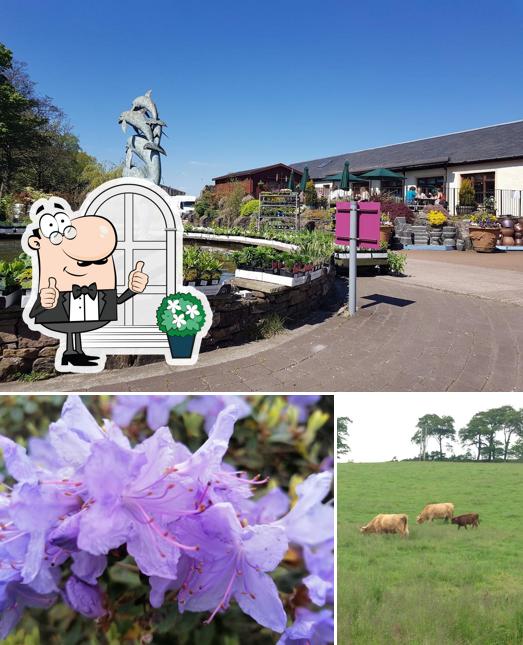 Ardardan Walled Garden Nursery
