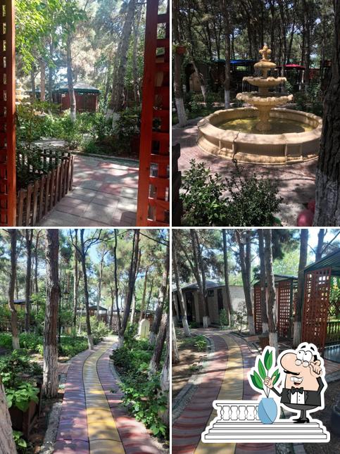 Сосновый Бор