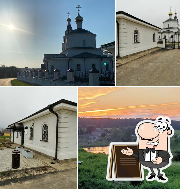 Чайная Птичка