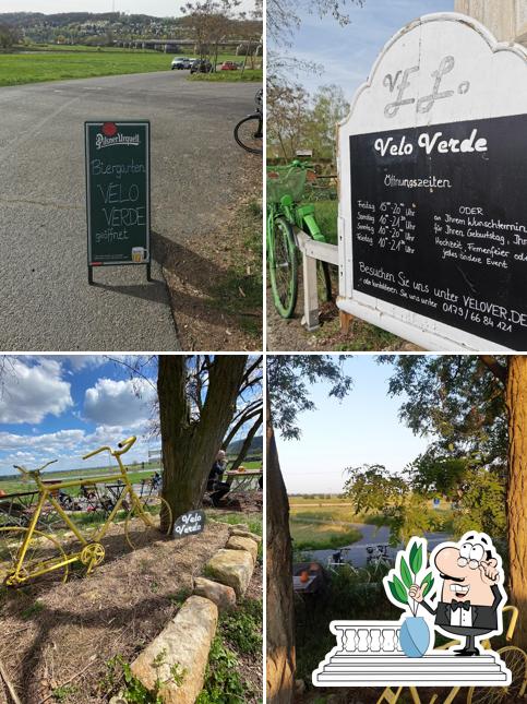 Velo Verde