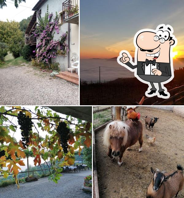 Mecenero Farmhouse