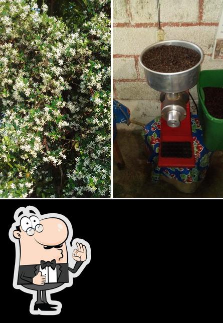 Café OrgáXico