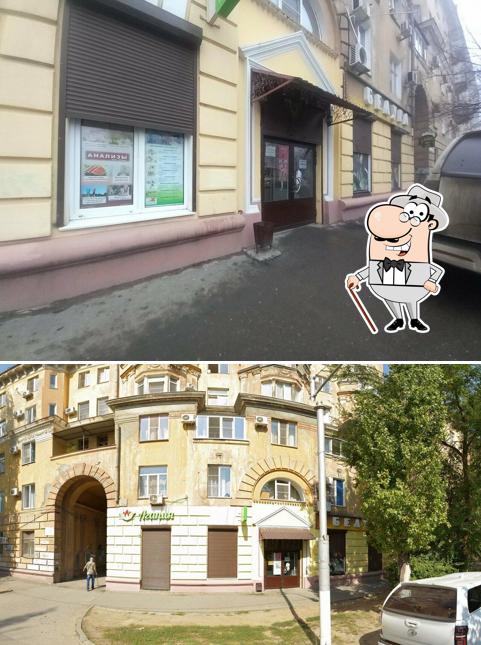 Белуга