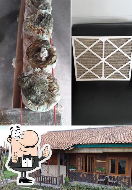 IP Farm Rumah jamur
