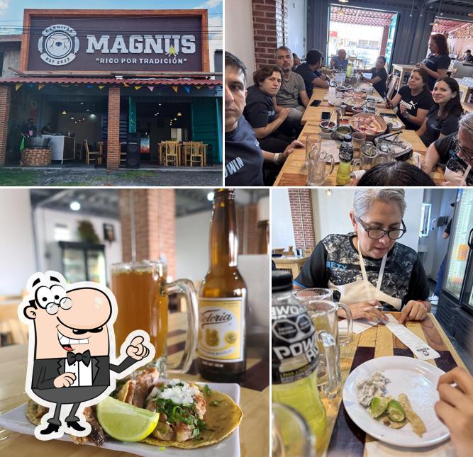 Magnus carnitas