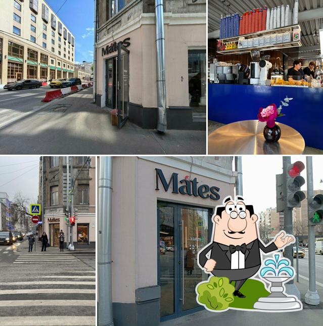 Mátes
