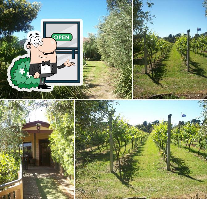 Lazzar Wines