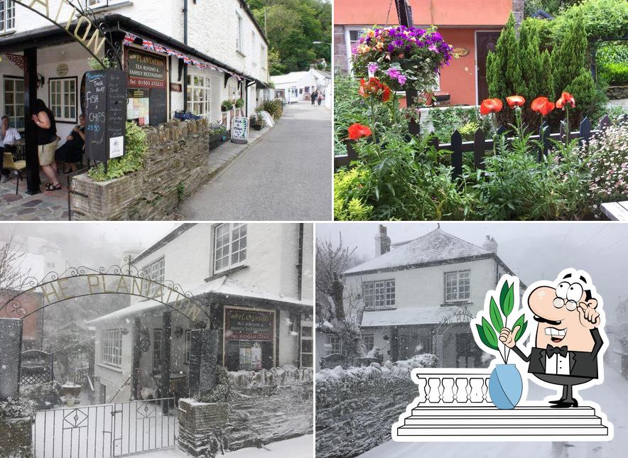 The Plantation Tea Rooms