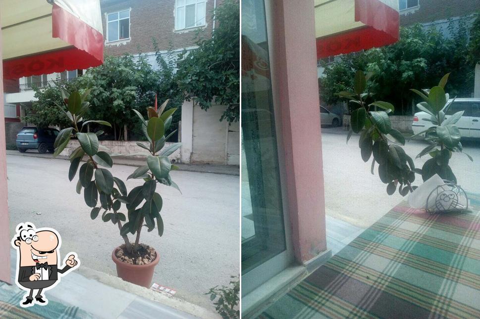 Köşem Yufka & Gözleme