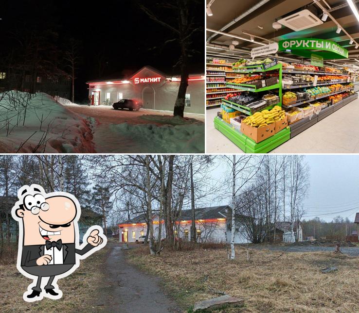 Магнит