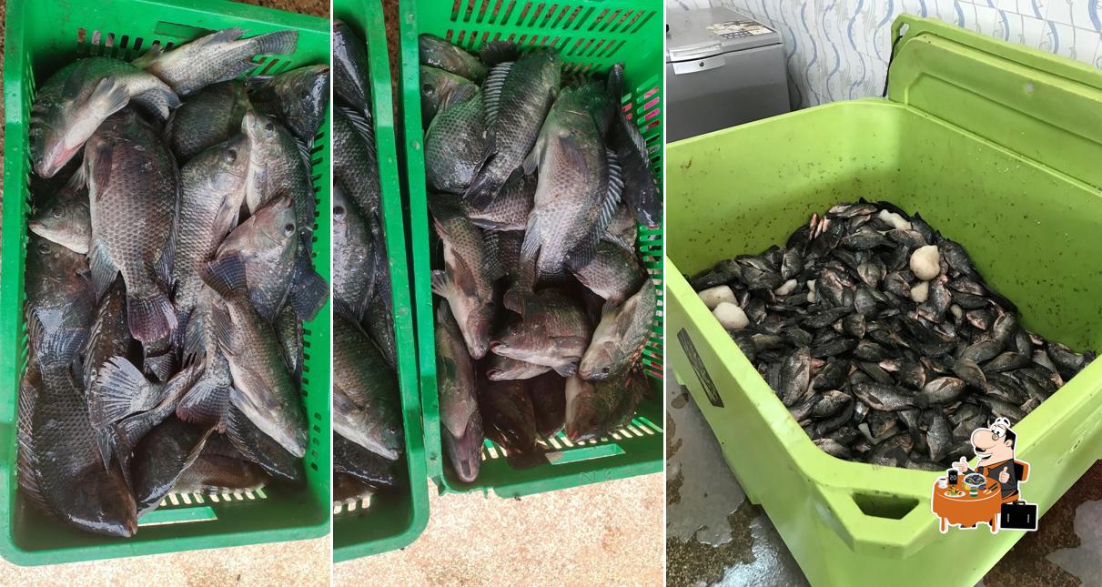 Lake Harvest Fish Depot