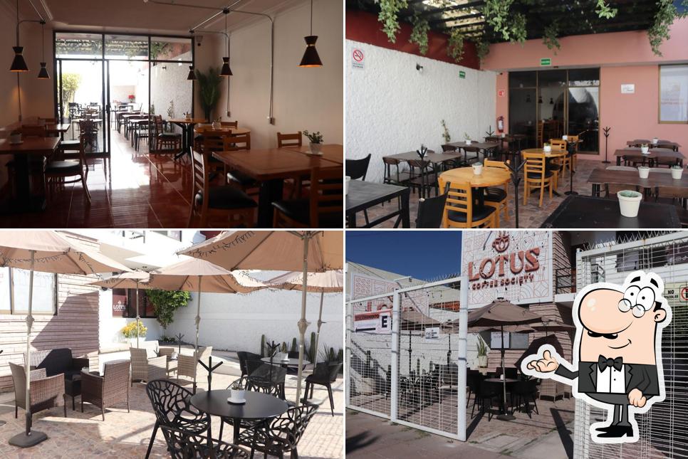 LOTUS COFFEE SOCIETY