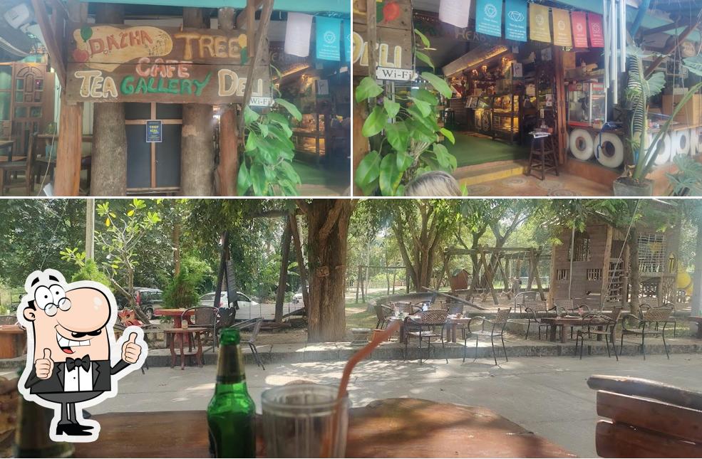 Dacha Tree Cafe, Gallery & Deli