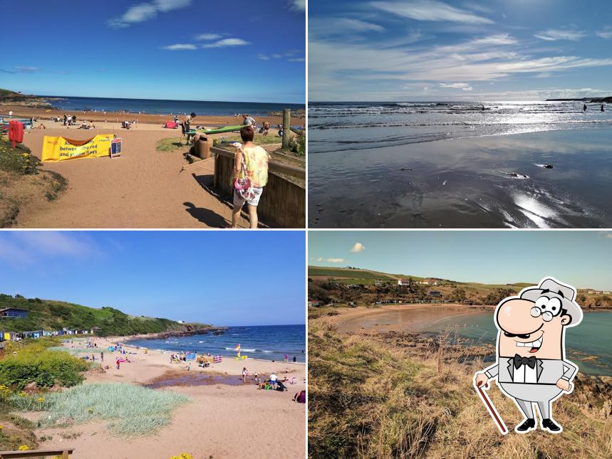 Beach Cafe