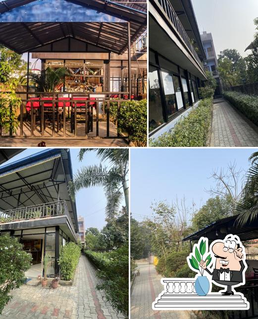 Hotel Flycatcher Chitwan