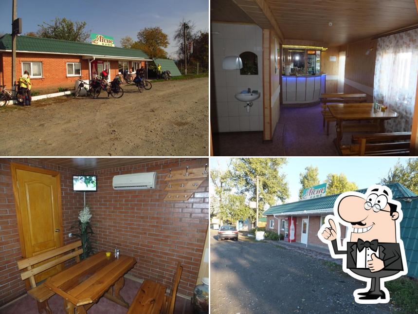 Roadside cafe "forest"