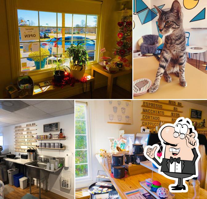 Purr Cup Cafe