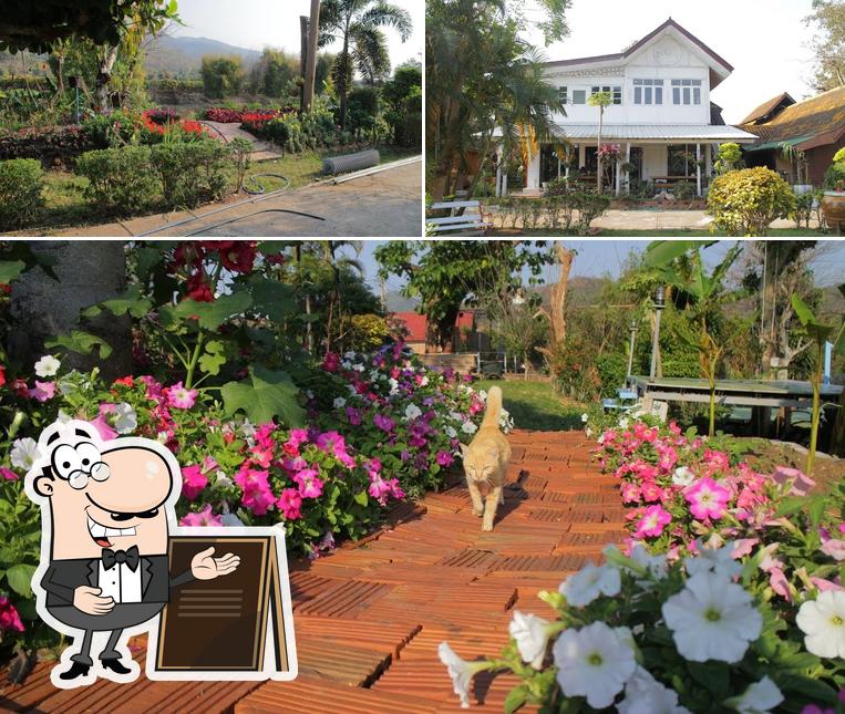 ต้นไม้​รัก​คาเฟ่ร้านอาหารท่าตอนแม่อาย De’ love tree cafe’&restaurant thaton Mae ai