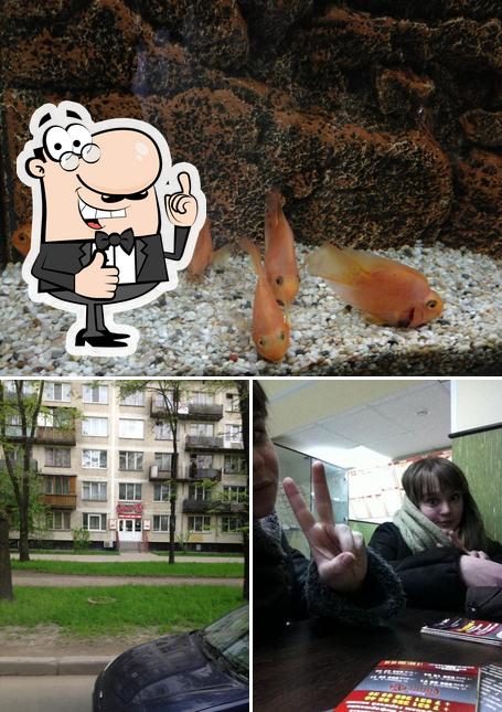 Express Суши