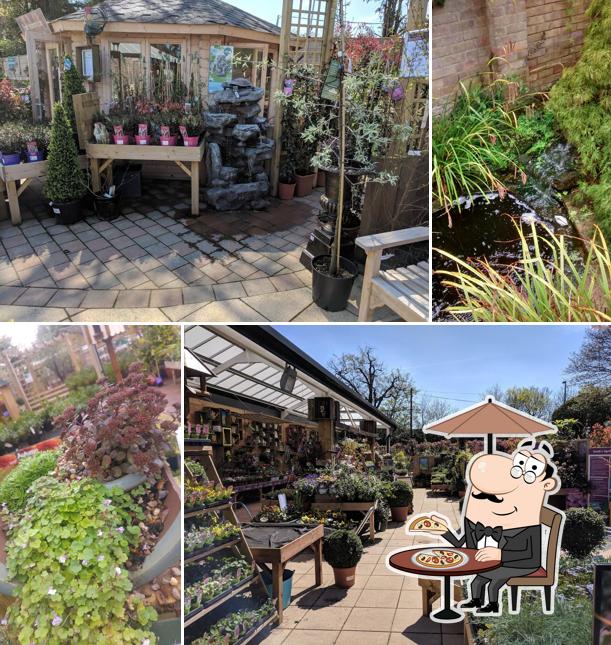 Squire's Garden Centre