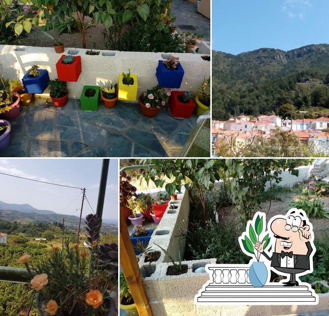 Ydroussa Taverna