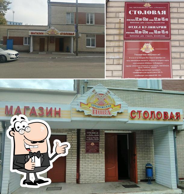 Прибужская Нива