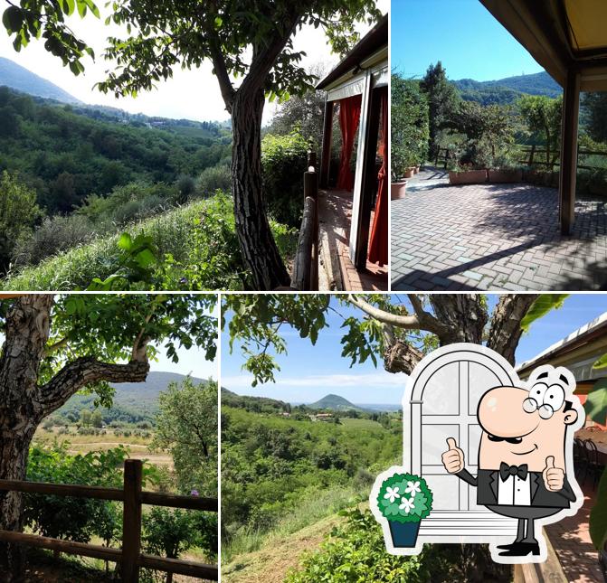 Trattoria Le Banchine