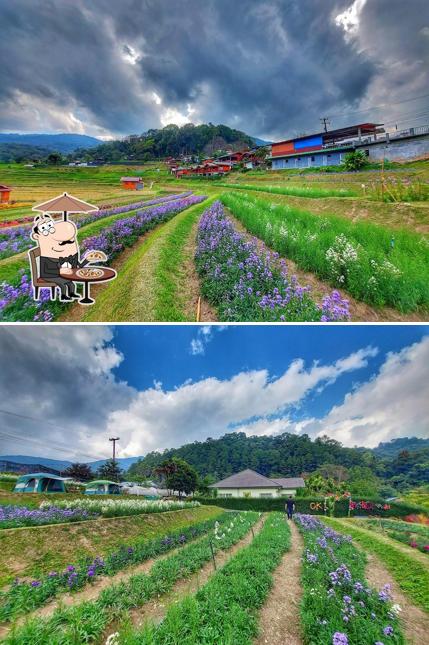 ร้านป้าแก้ววชิรธาร (แม่กลางหลวง)