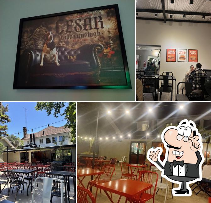 Cope Cerveza y Hamburguesas Ranelagh