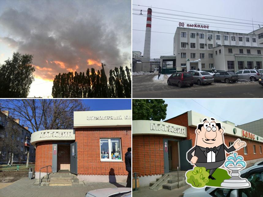 Колос