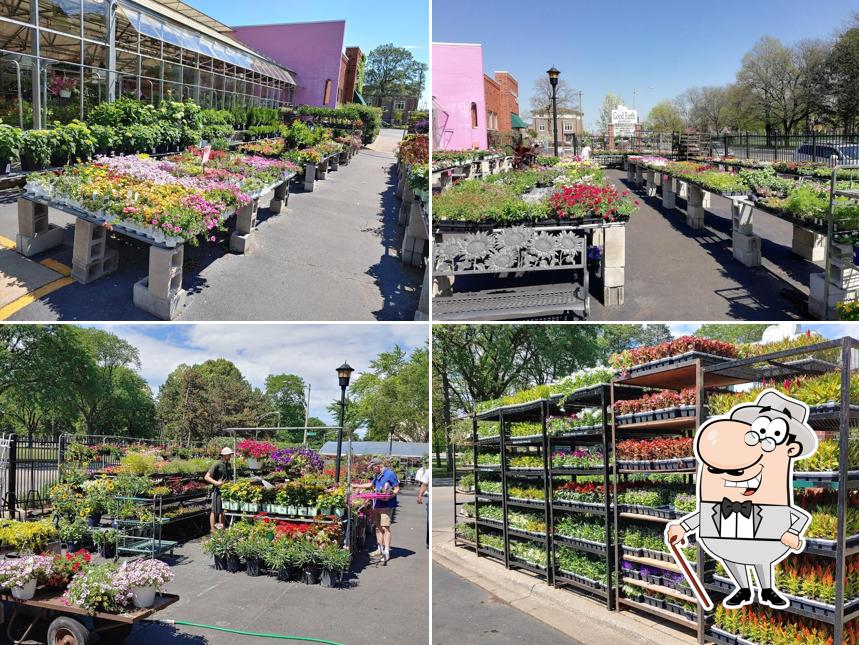 Good Earth Greenhouse LLC