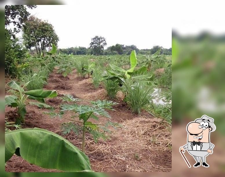 สวนไผ่นำโชค