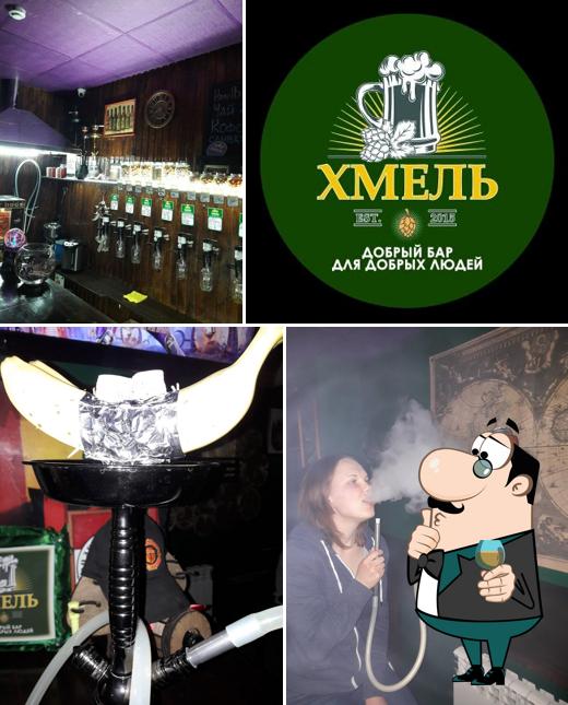 Хмель
