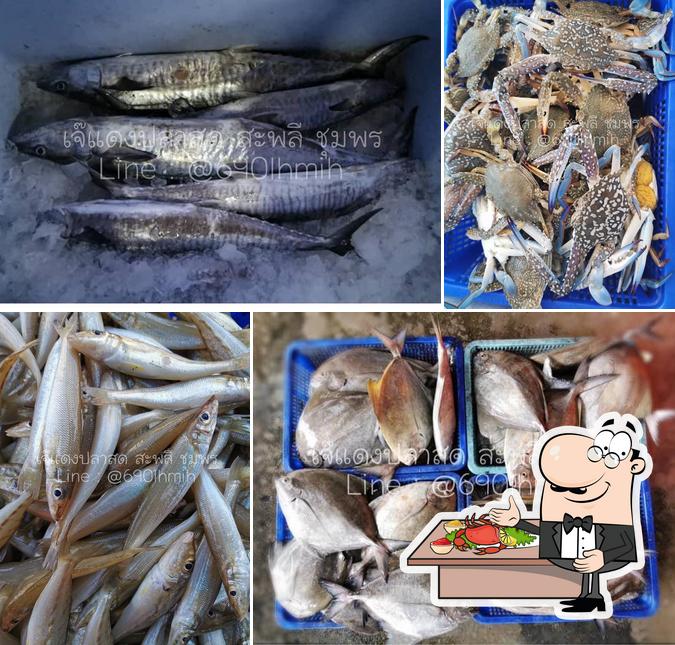FreshFish Delivery ส่งอาหารทะเลสดพร้อมปรุง