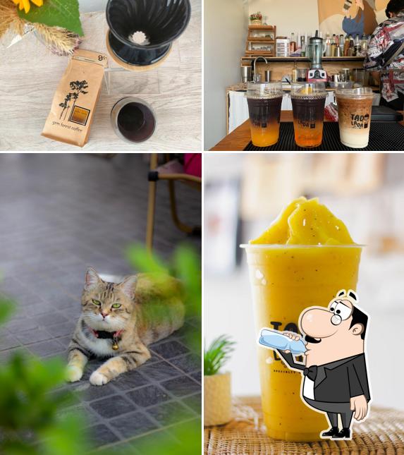 elegant gift - speciality coffee