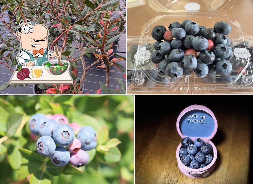 Southernberry-farm HOBAL