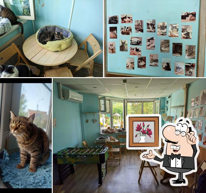 Котокафе Муркино