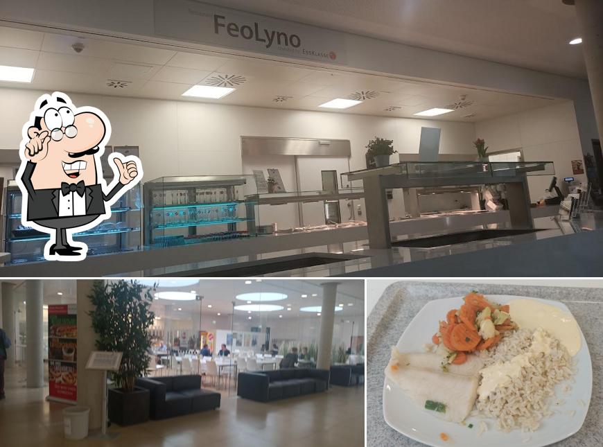 Feolyno