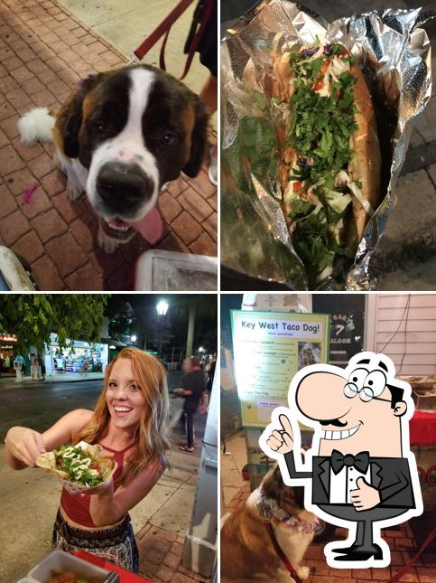 Key West Taco Dog Food Stand