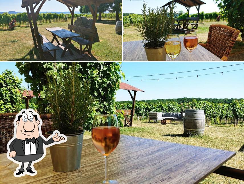 BERG.WEIN.TERRASSE auf dem Amalienhof