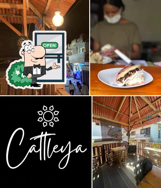 Cattleya Fast Food & Souvenirs