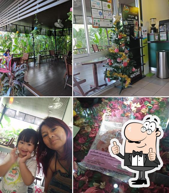 Cafe Amazon(DD1542) หนองเสม็ด
