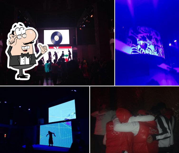 Pacha