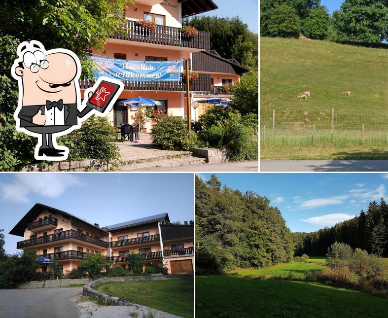 Land-Hotel Neuhof, Bayern (Bayerischer Wald)