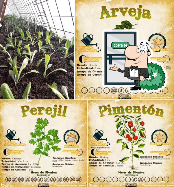 LESLI.Ecocultivos