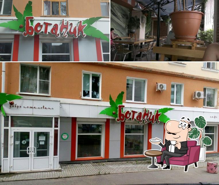 Ботаник